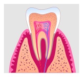 Skoda Gordon Dentistry